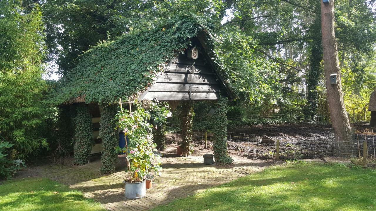 Bed and Breakfast Grenier's à Punthorst Extérieur photo